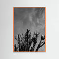 Orange Wood Monochrome Cactus Sky Poster