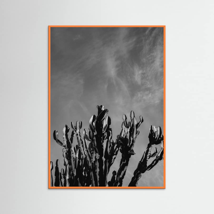 Orange Wood Monochrome Cactus Sky Poster