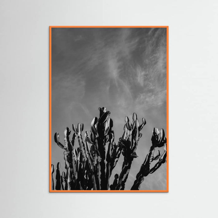 Orange Wood Monochrome Cactus Sky Poster