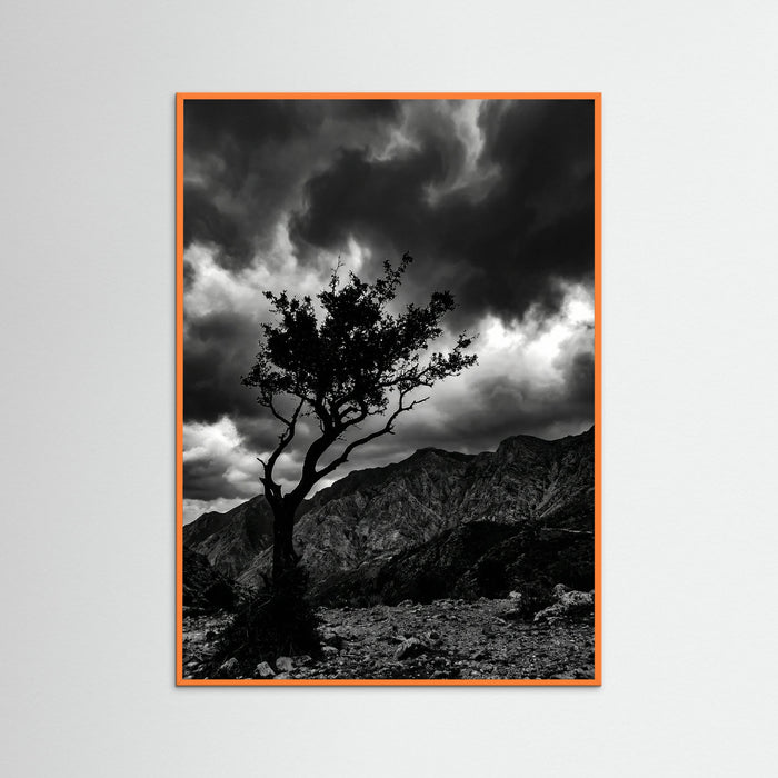 Orange Wood Monochrome Seascape