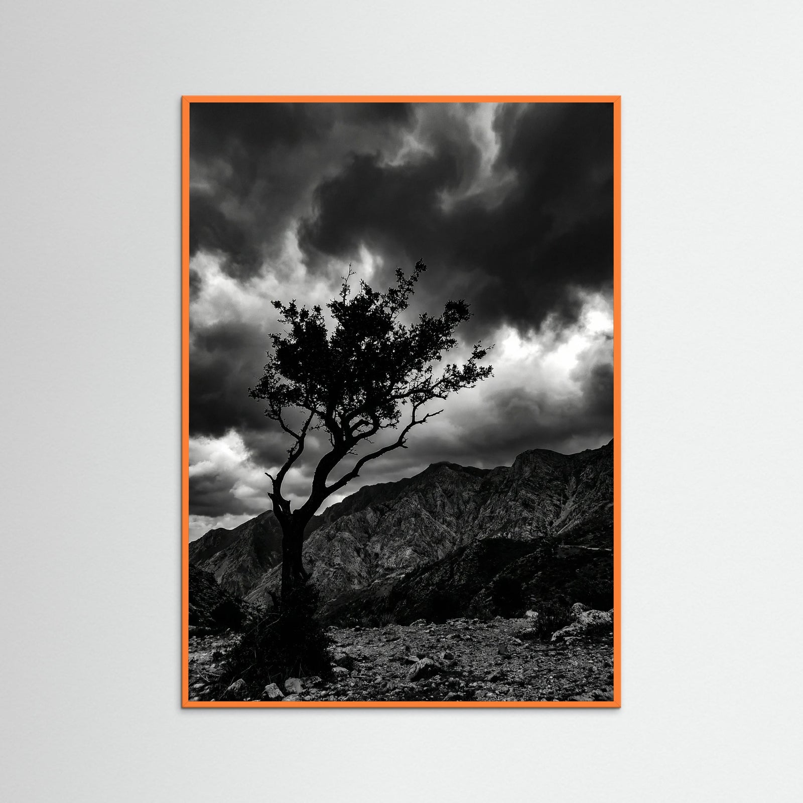 Orange Wood Monochrome Seascape