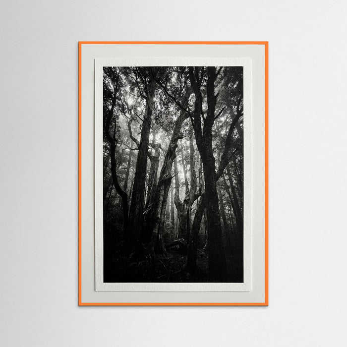Orange Wood Monolith Coast
