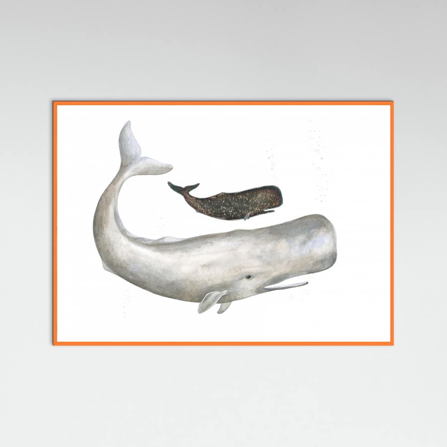 Poster Mother and Baby Sperm Whale – poster e stampa artistica