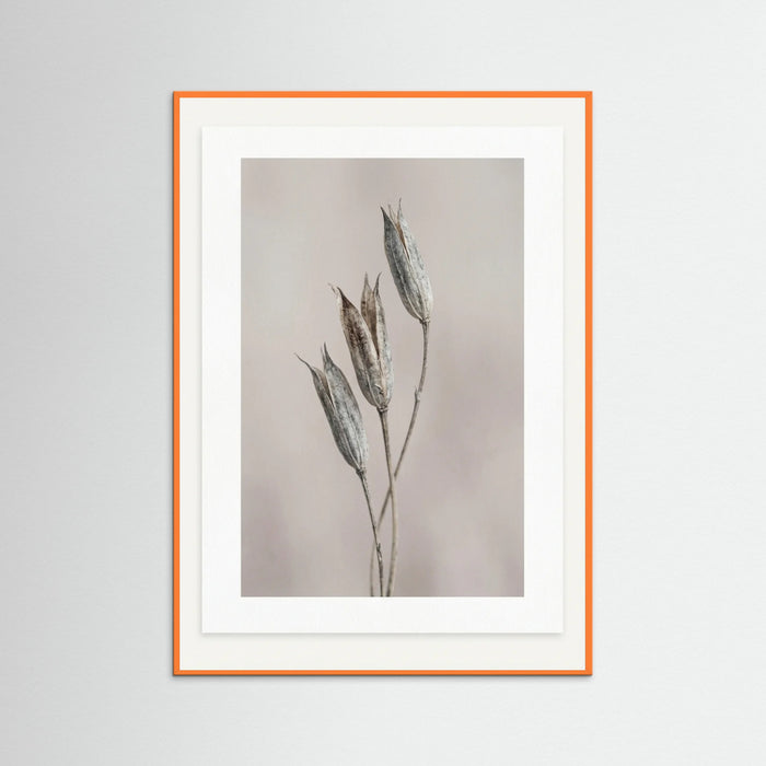 Orange Wood Muted Bloom