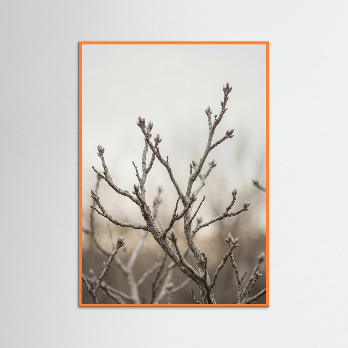 Orange Wood Muted Field