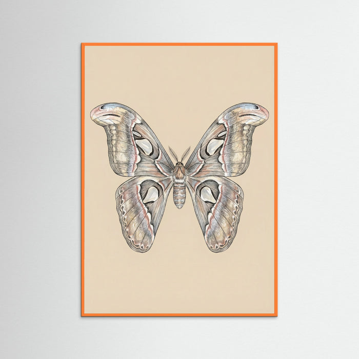 Orange Wood Nocturnal Elegance