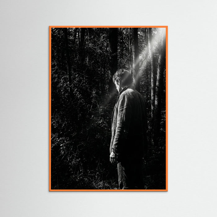 Orange Wood Obscured Presence