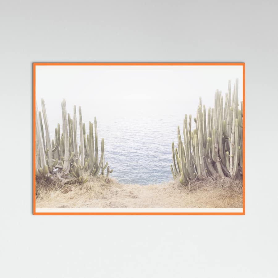 Orange Wood Ocean Cactus Poster