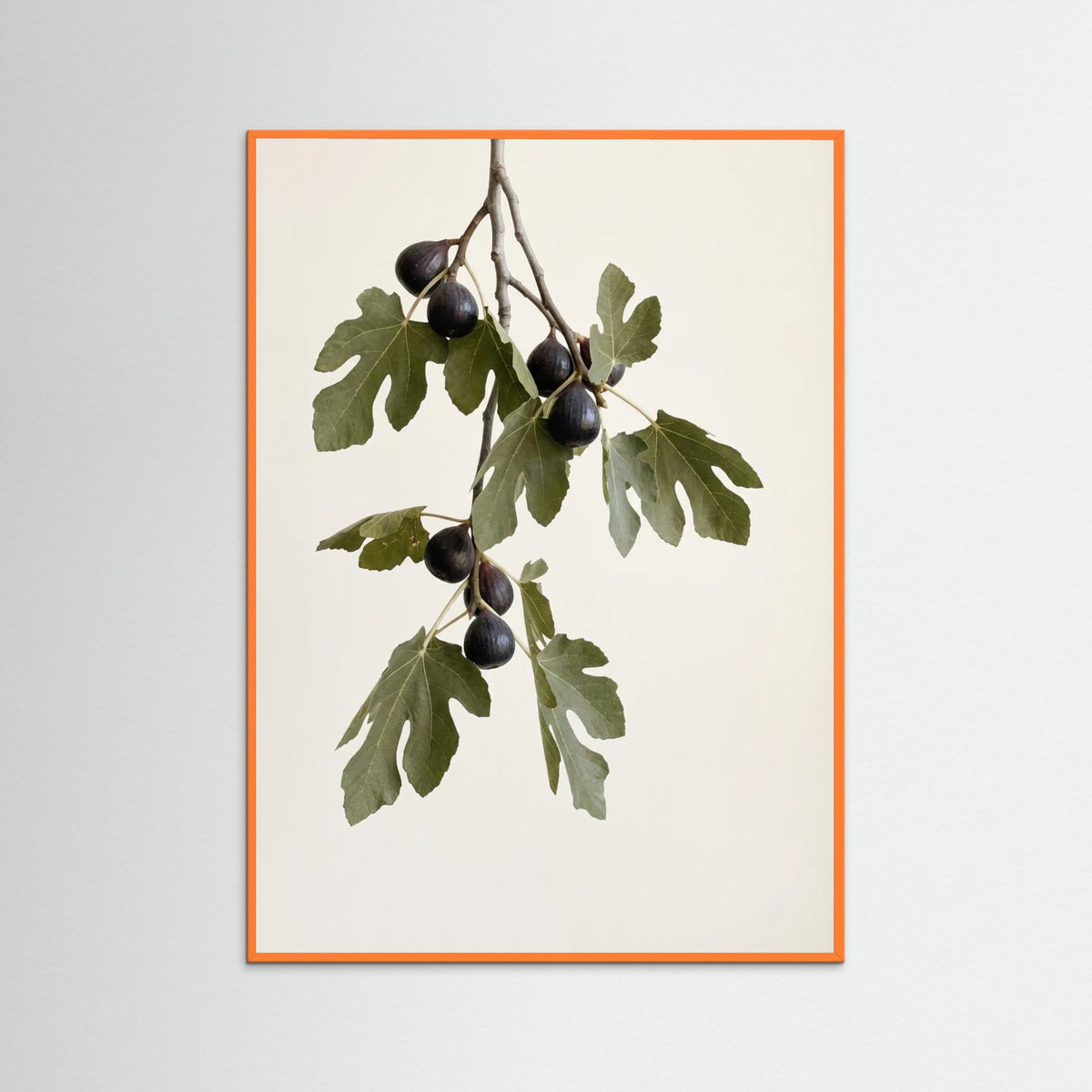 Orange Wood Olive Serenity