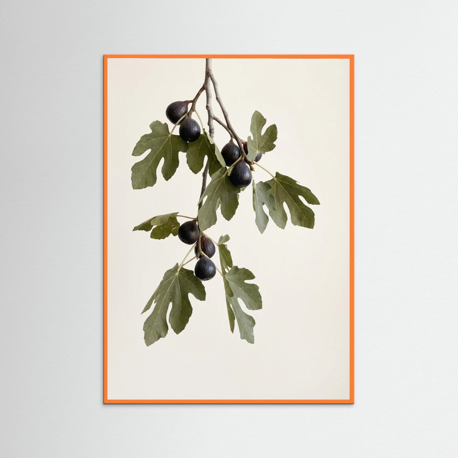 Orange Wood Olive Serenity