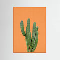Orange Wood Orange Cactus Poster