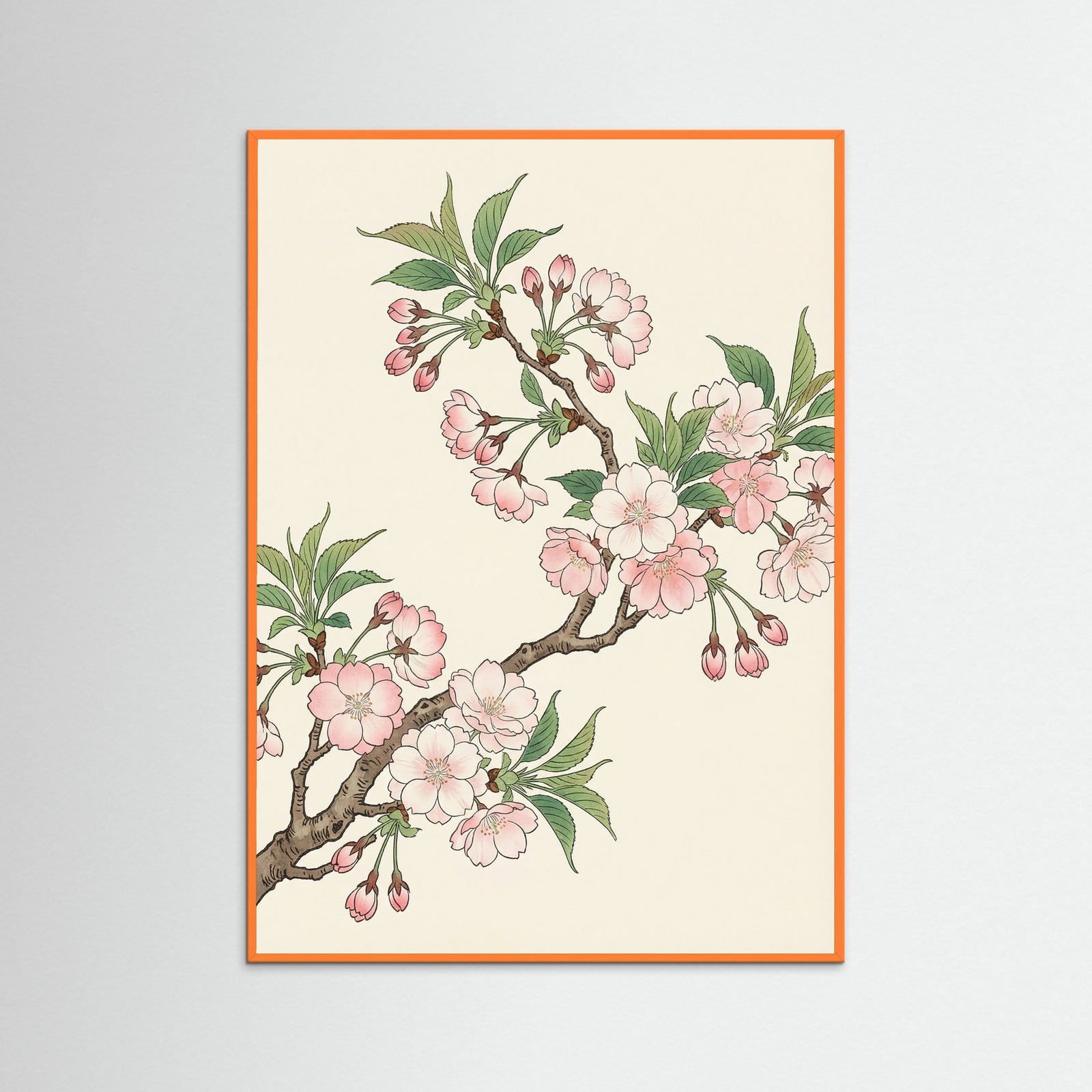 Orange Wood Orange Poppy Grace