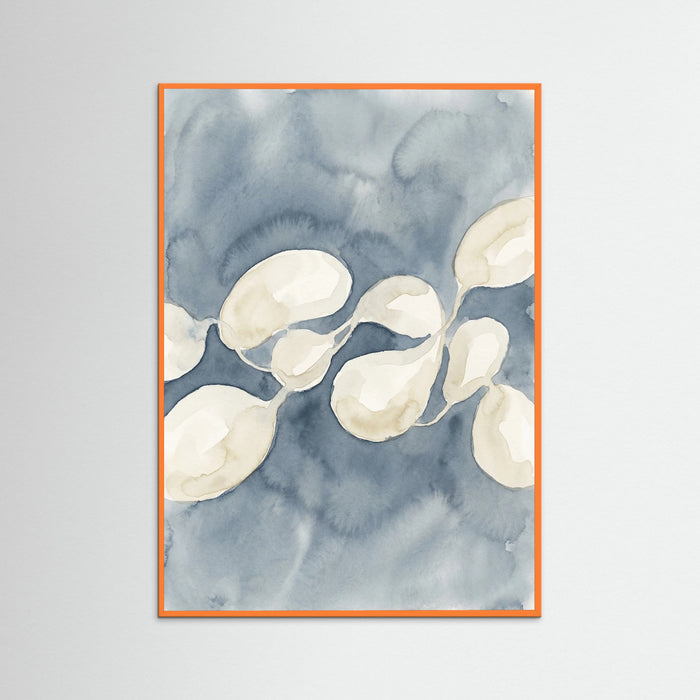Orange Wood Organic Cadence