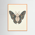 Orange Wood Ornate Silk Moth