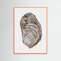 Poster Oystershell – poster e stampa artistica