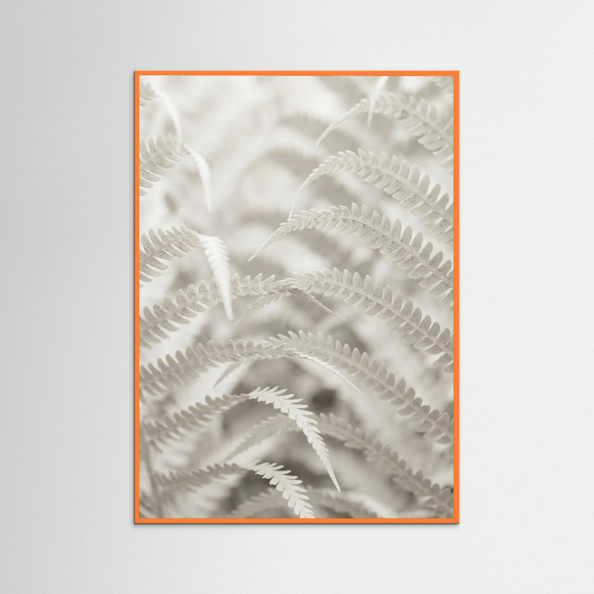 Orange Wood Pale Elegance