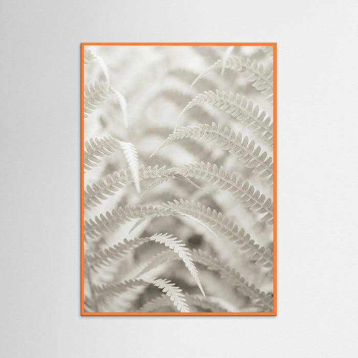 Orange Wood Pale Elegance