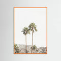 Póster Palm Springs Palms – póster e impresión artística