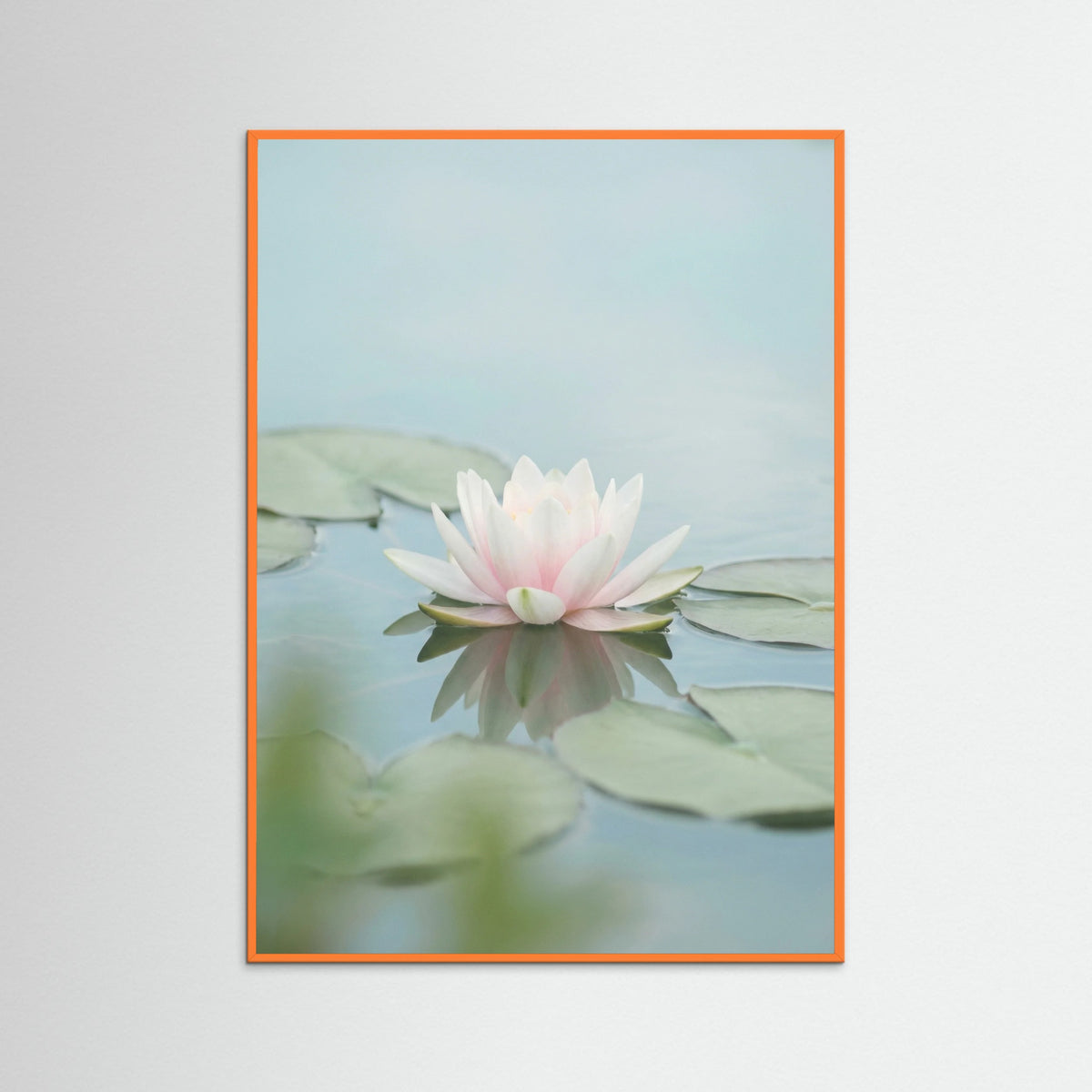 Orange Wood Pink Lotus Serenity