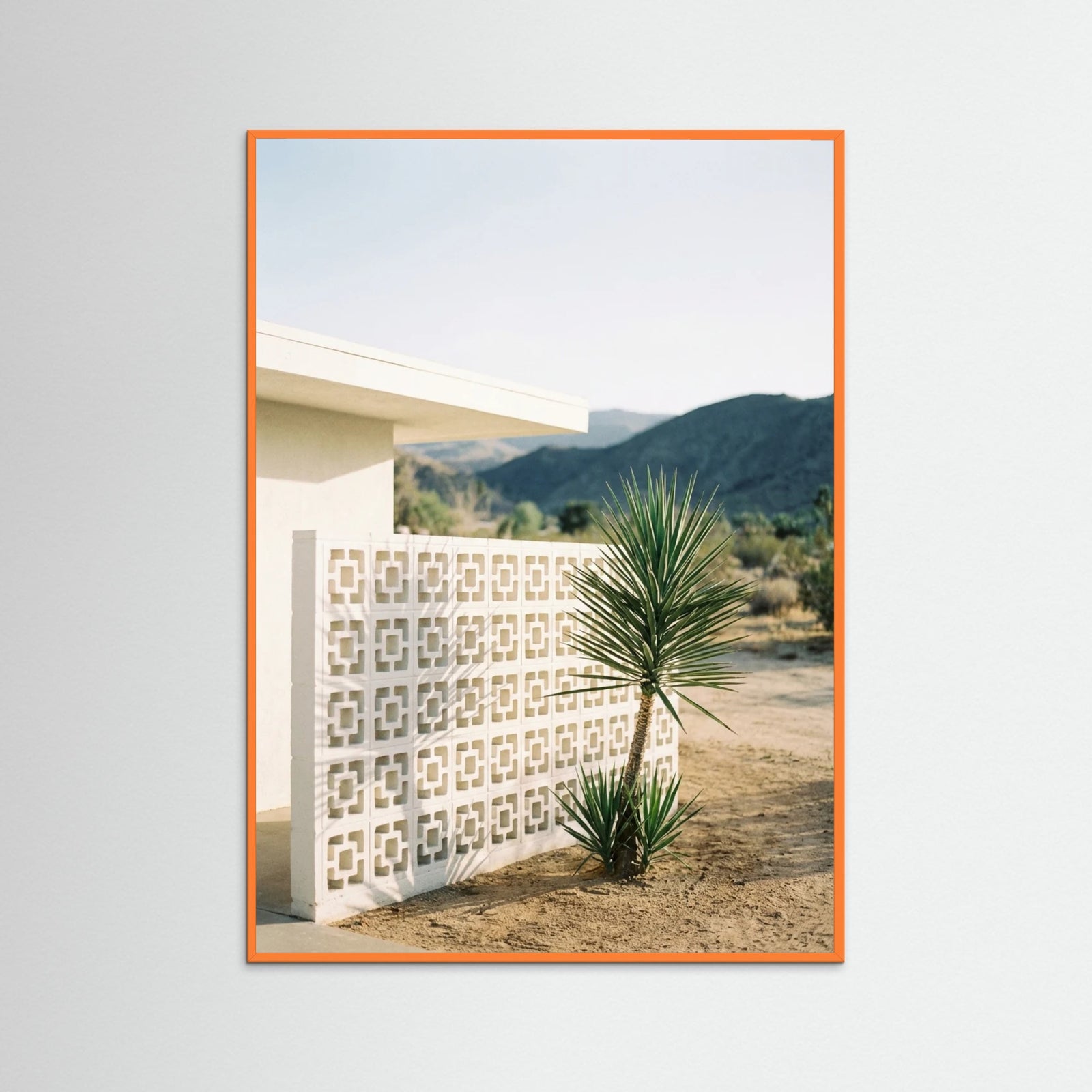 Orange Wood Poolside Palms