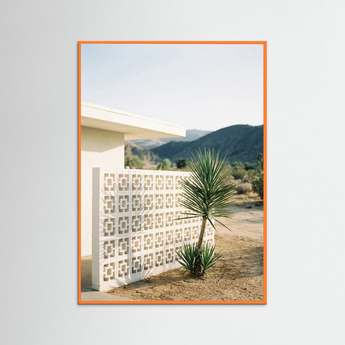 Orange Wood Poolside Palms