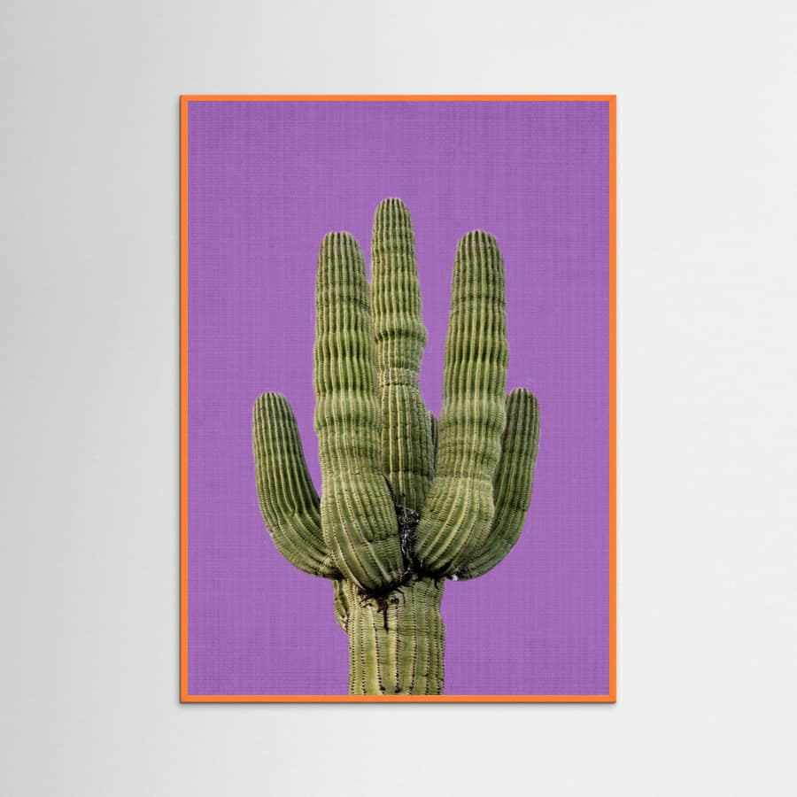 Orange Wood Purple Cactus Poster