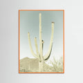 SAGUARO NATIONAL PARK Vintage Giant Saguaro -juliste – juliste ja taidepainatus