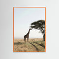 Orange Wood Savanna Horizon