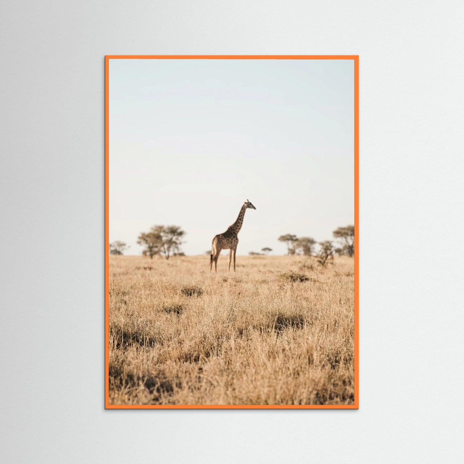 Orange Wood Savannah Solitude