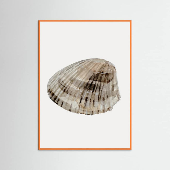 Poster Seashell – poster e stampa artistica