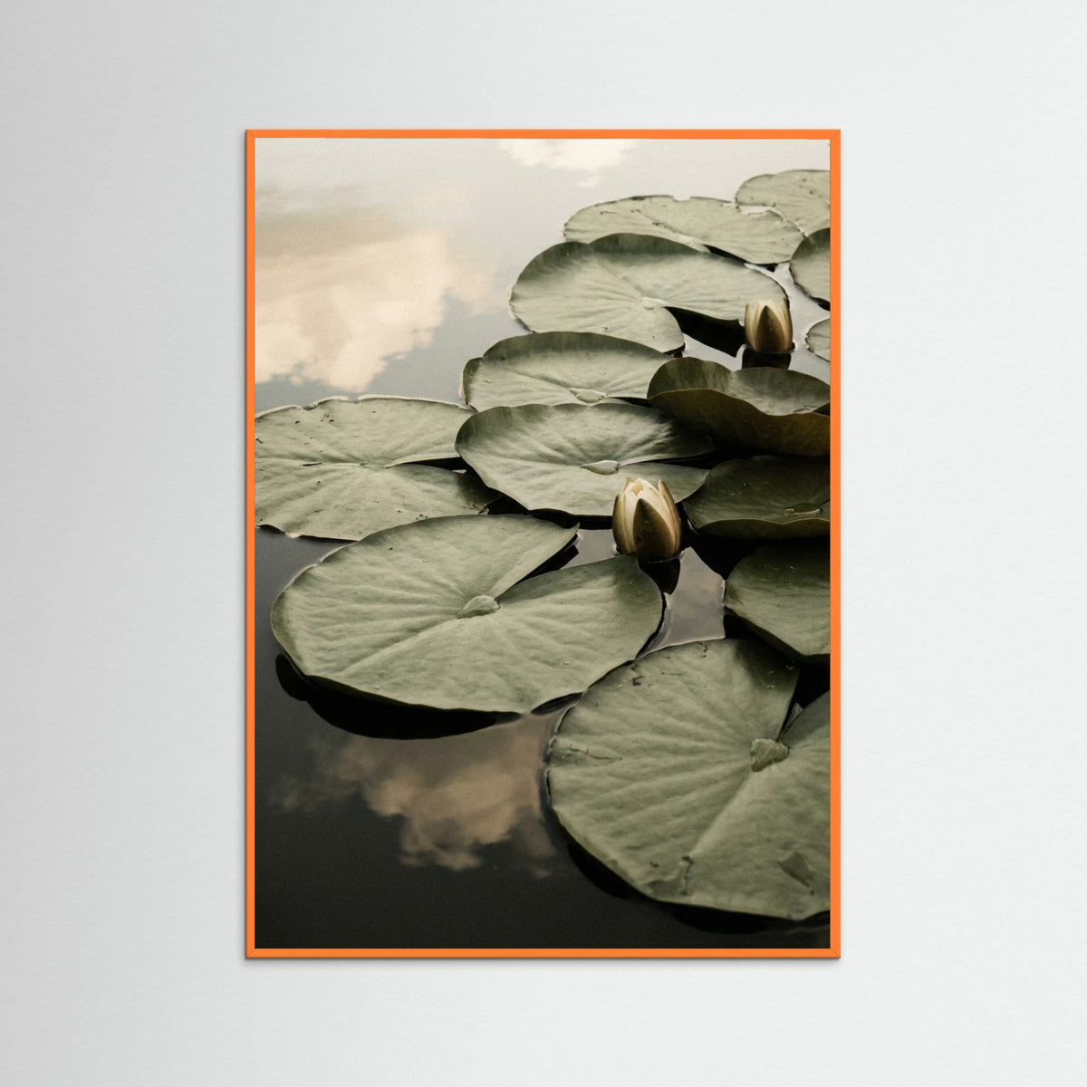 Orange Wood Serene Bloom