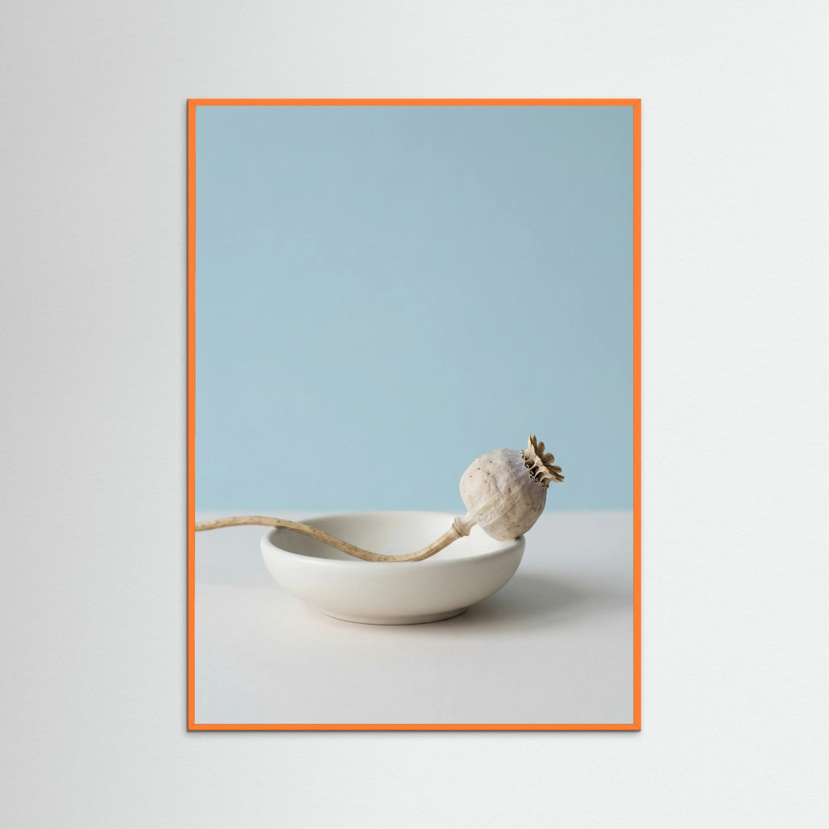 Orange Wood Serene Foliage