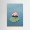 Orange Wood Serene Lotus