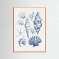 Plakat Shell Collage – plakat i druk artystyczny