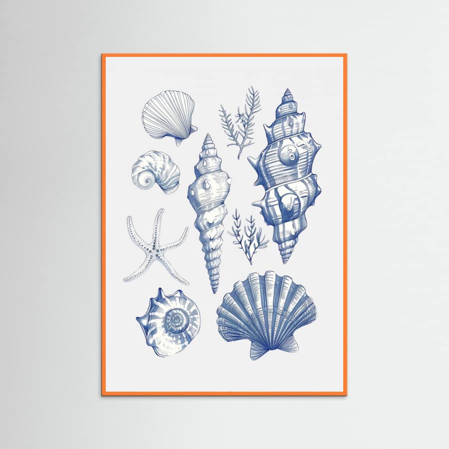 Plakat Shell Collage – plakat i druk artystyczny