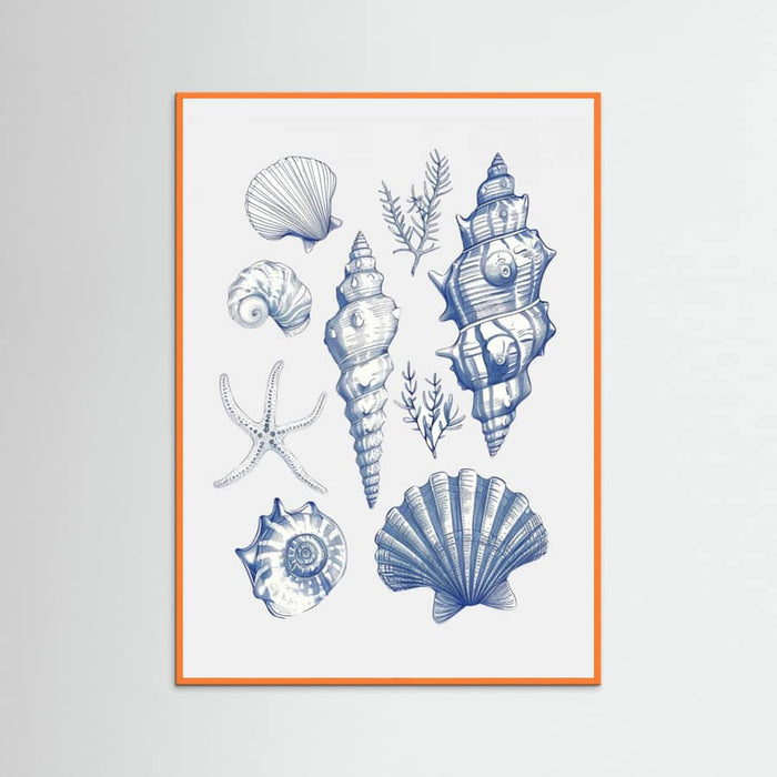 Plakat Shell Collage – plakat i druk artystyczny