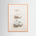 Poster Shells – poster e stampa artistica