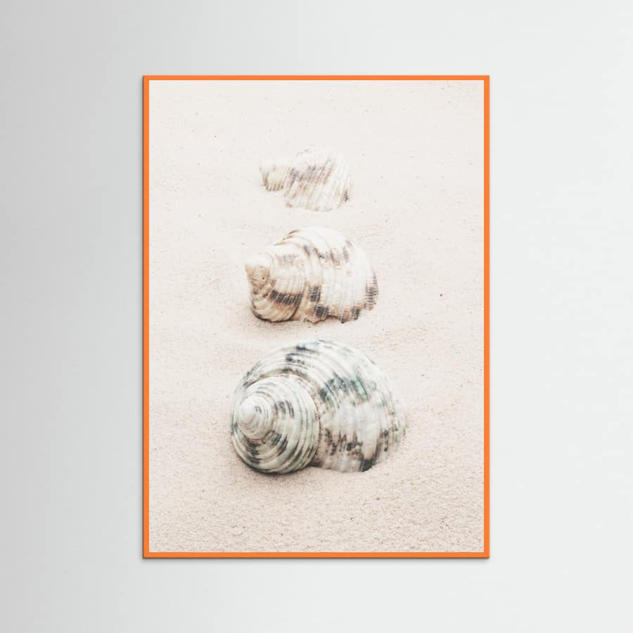 Poster Shells – poster e stampa artistica