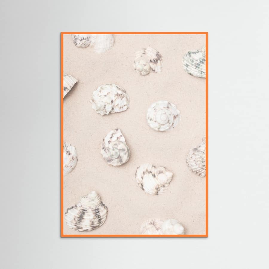Shells_2 Poster – Poster und Kunstdruck