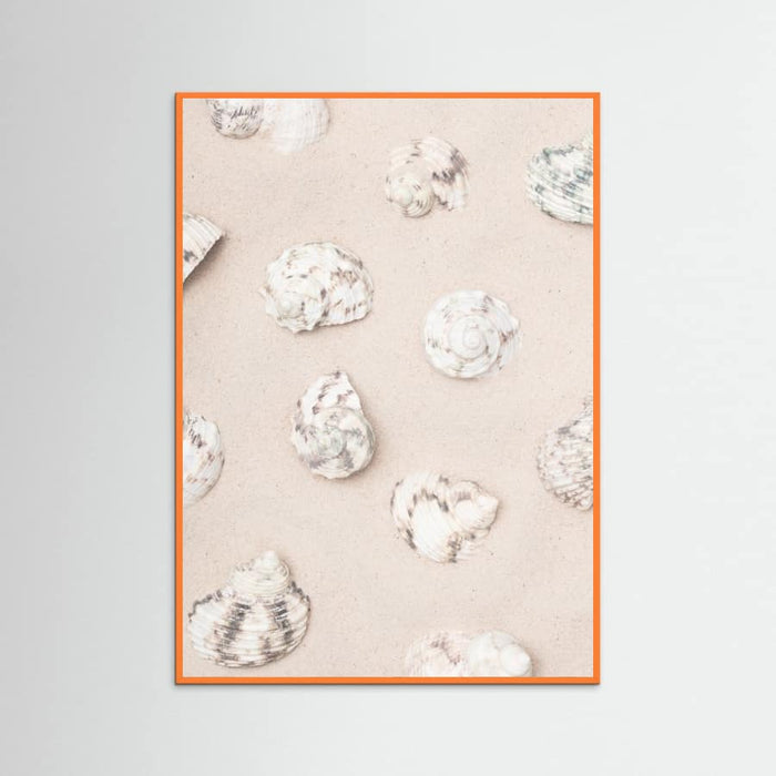 Shells_2 Poster – Poster und Kunstdruck