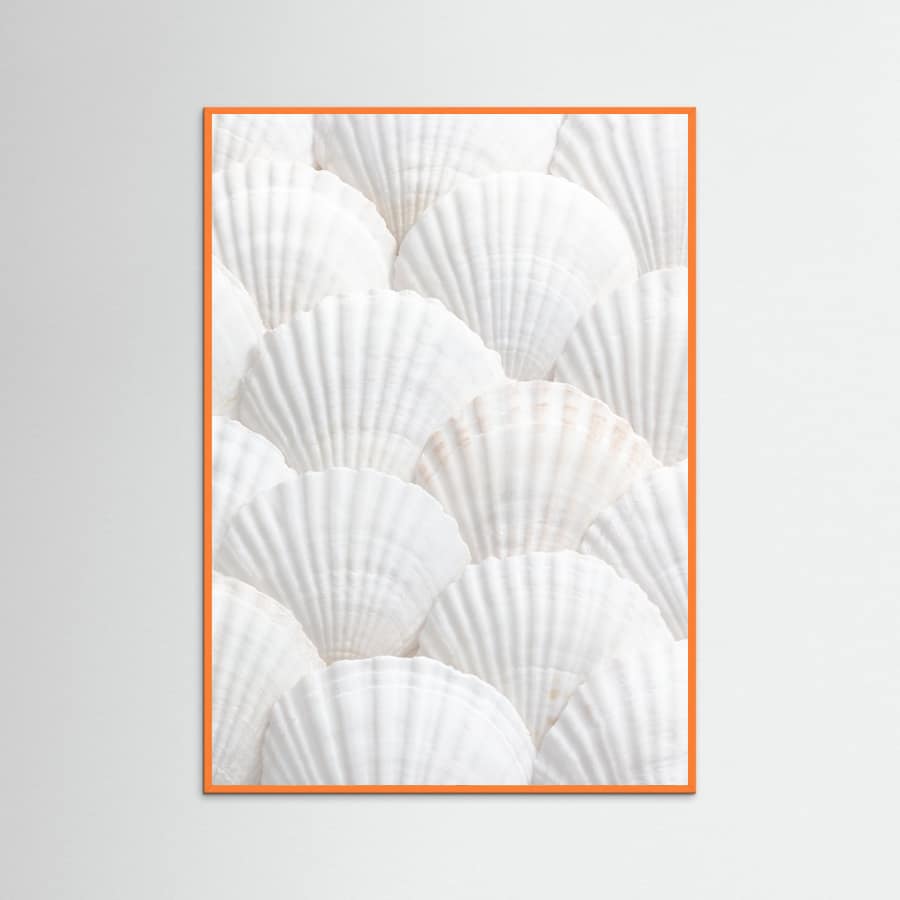Shells_3 Poster – plakat og kunsttryk