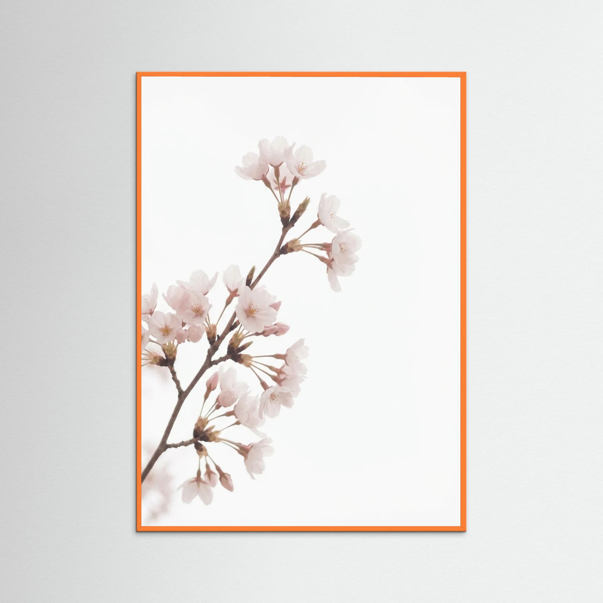 Orange Wood Soft Bloom Study