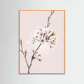 Orange Wood Soft Bloom