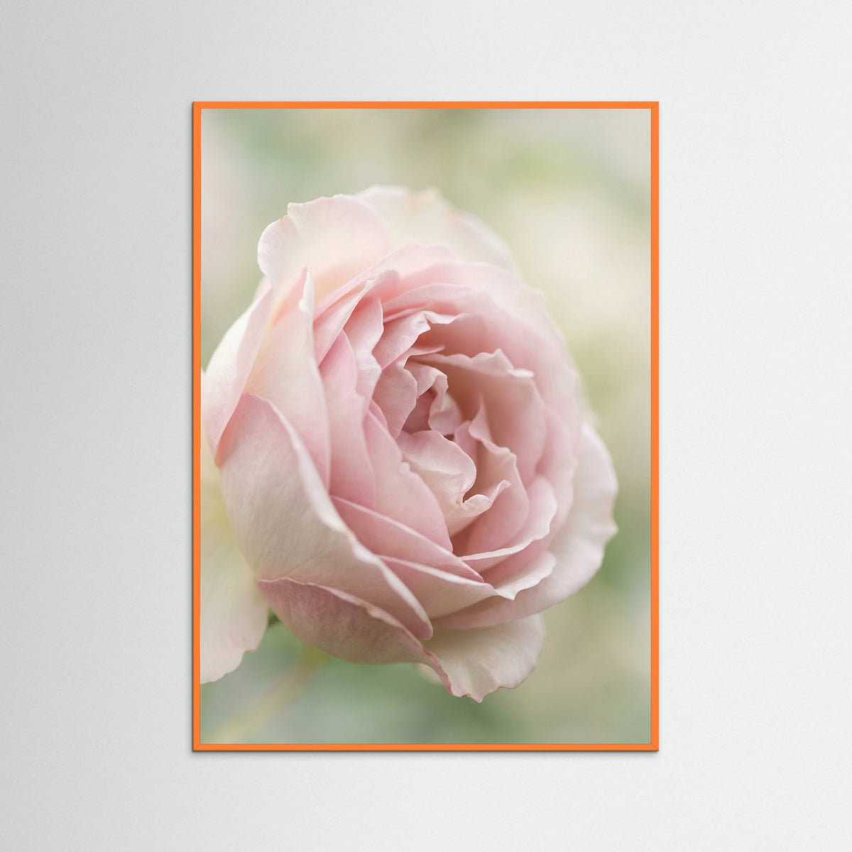 Orange Wood Soft Bloom