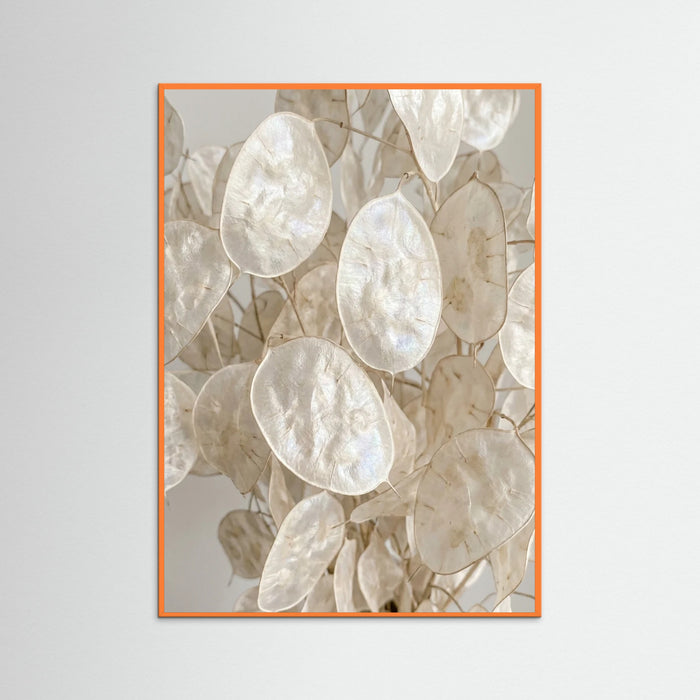 Orange Wood Soft Petal Dreams