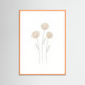 Orange Wood Soft Petal Sketch