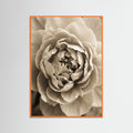 Orange Wood Soft Petals