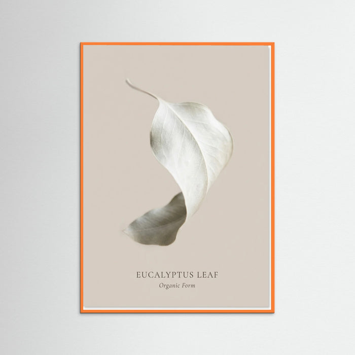 Orange Wood Soft Radiance
