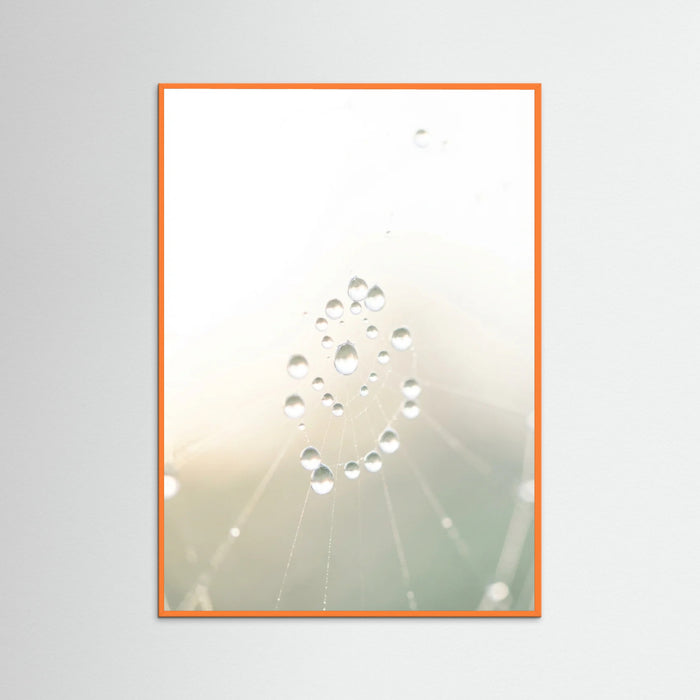 Orange Wood Soft Whisper