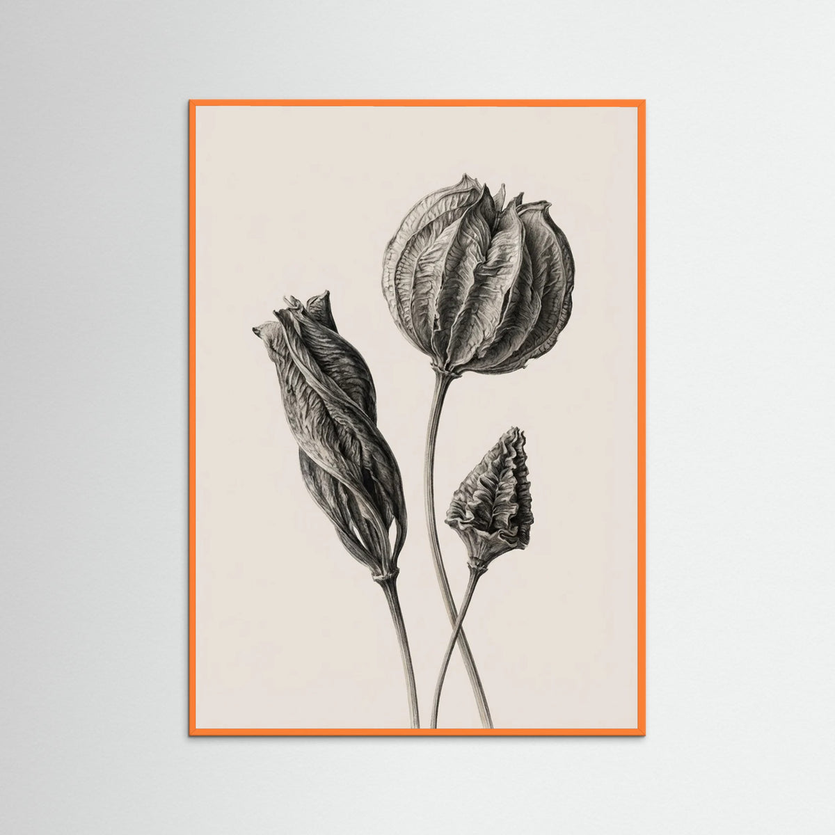 Orange Wood Solitary Bloom